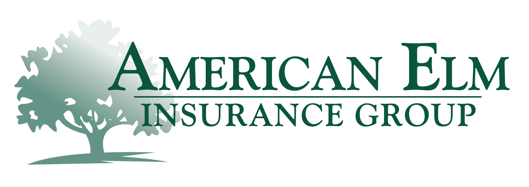 American Elm Insurance Group